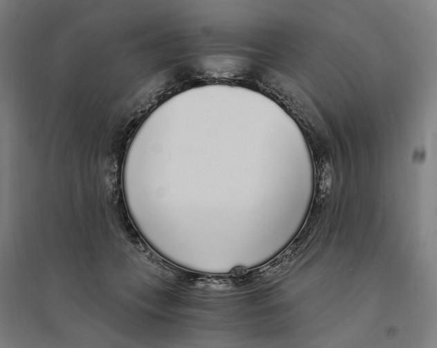 X0000094360559200711301427
