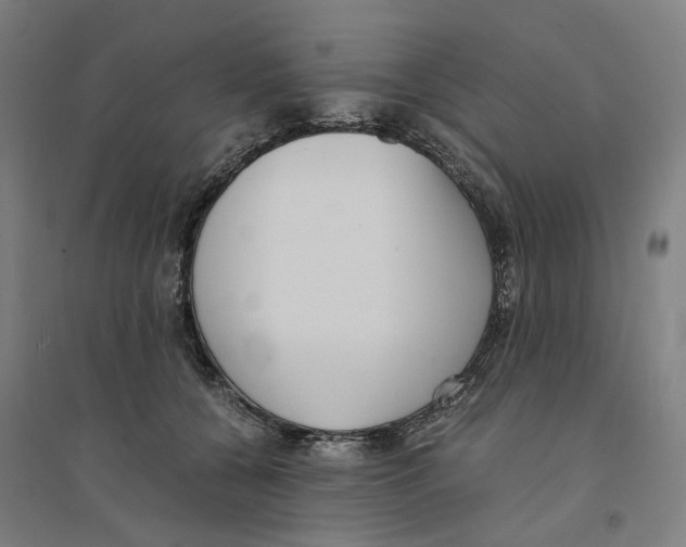 X0000094360560200711301427