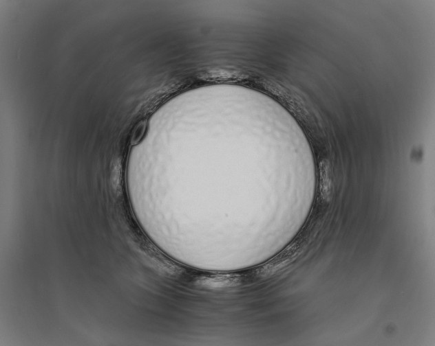 X0000094360563200711301427