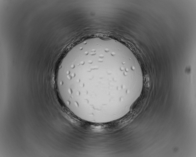 X0000094360564200711301427
