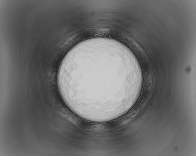 X0000094360565200711301427