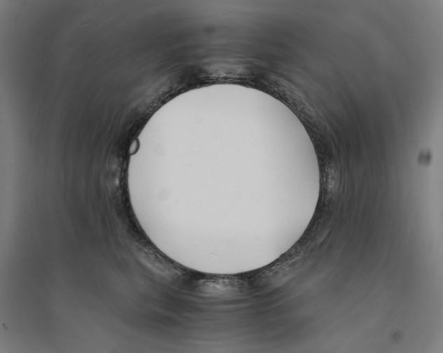 X0000094360567200711301427