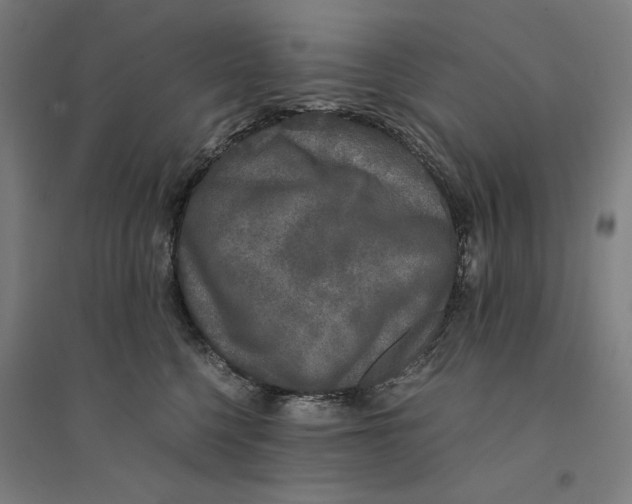 X0000094360568200711301427