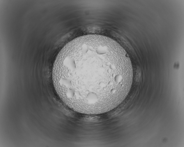 X0000094360569200711301427