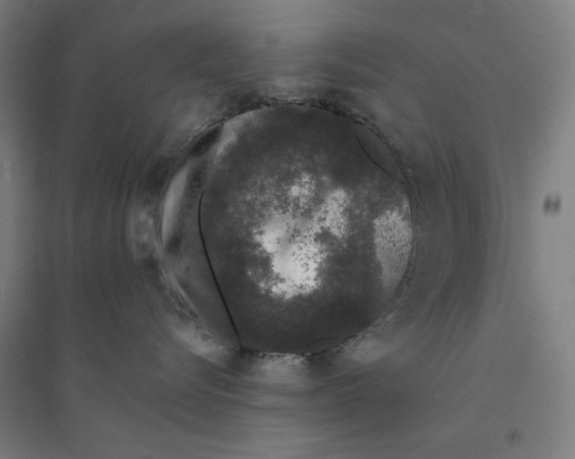 X0000094360576200711301428