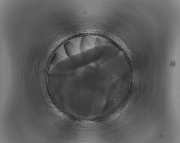 X0000094360577200711301427