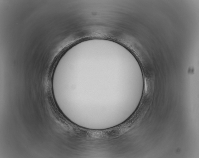 X0000094360579200711301427