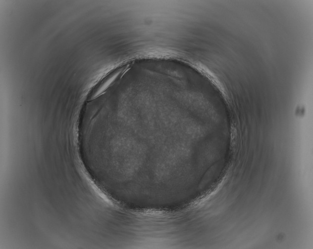 X0000094360581200711301427