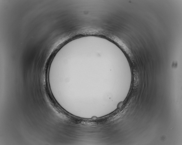 X0000094360582200711301427
