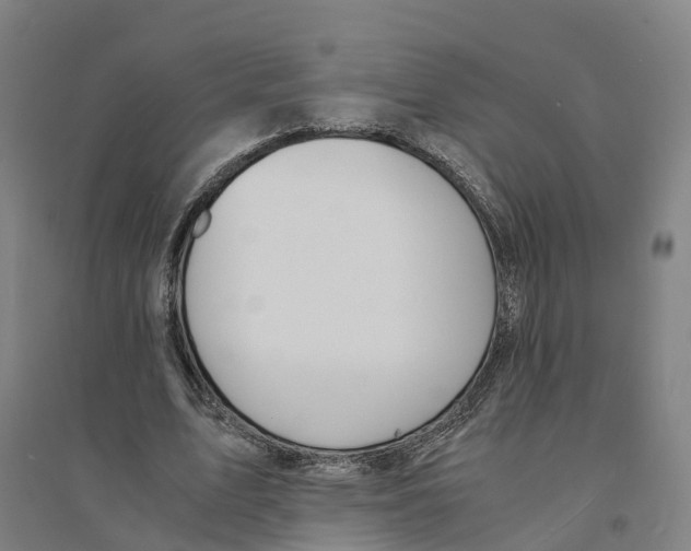 X0000094360583200711301427