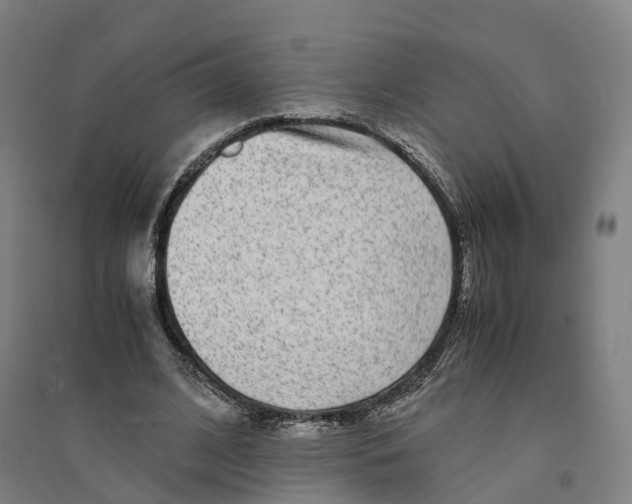 X0000094360584200711301427