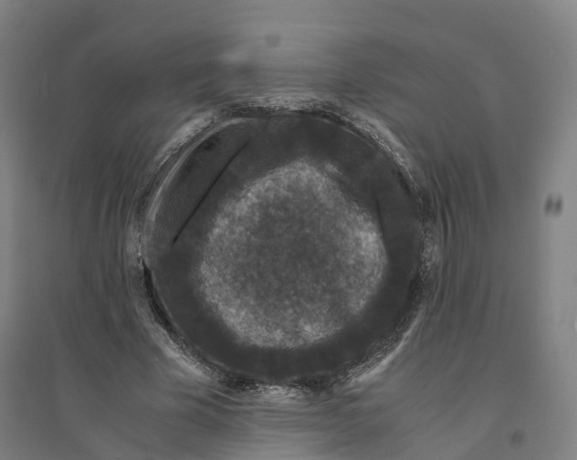 X0000094360585200711301427