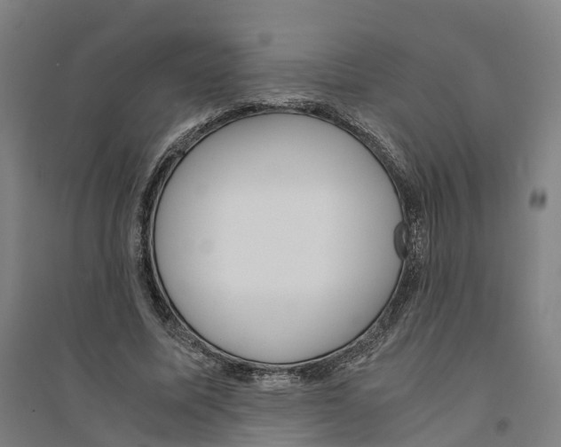 X0000094360587200711301427