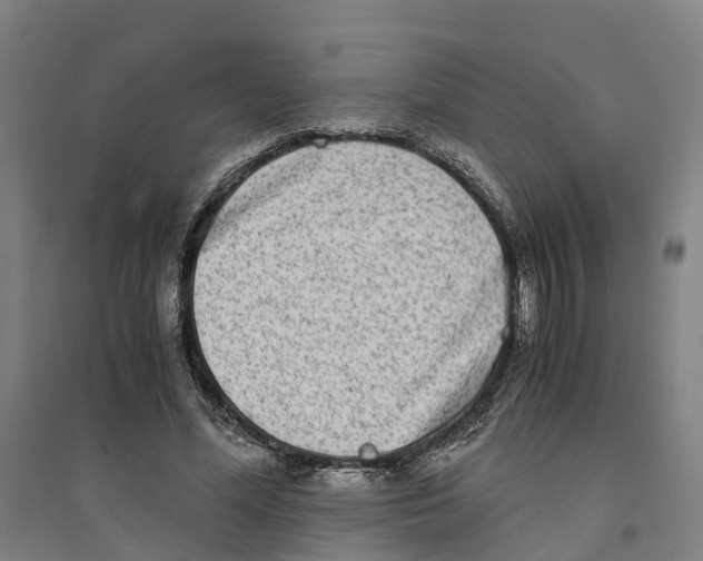 X0000094360588200711301427