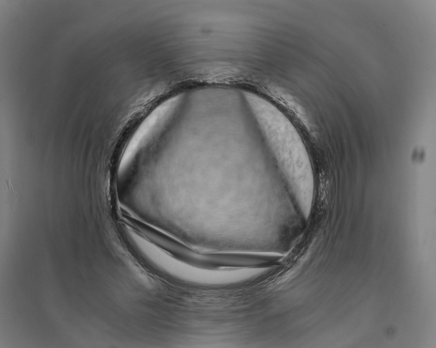 X0000094360589200711301427