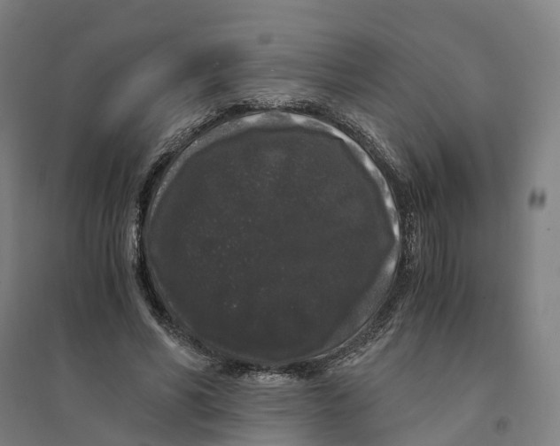 X0000094360590200711301427