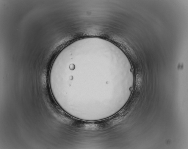 X0000094360591200711301427