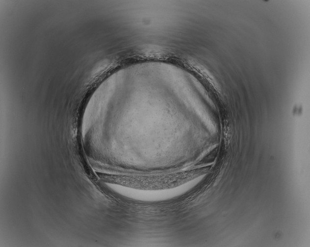 X0000094360593200711301427