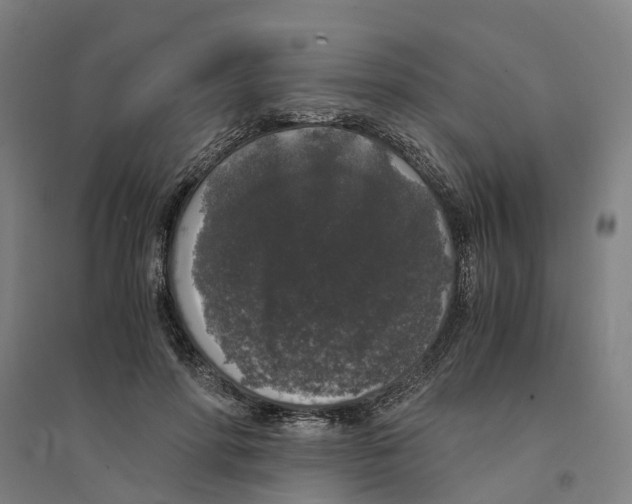 X0000094360598200711301427