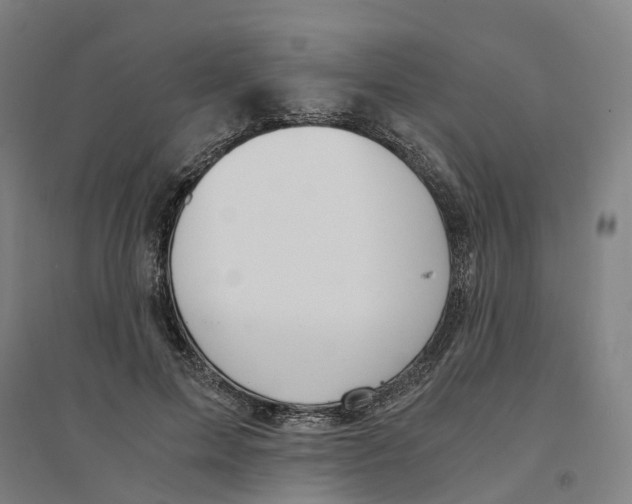 X0000094360599200711301427