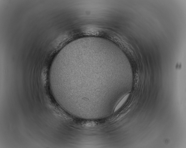X0000094360600200711301427