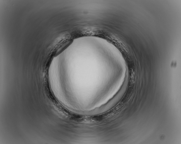 X0000094360601200711301427