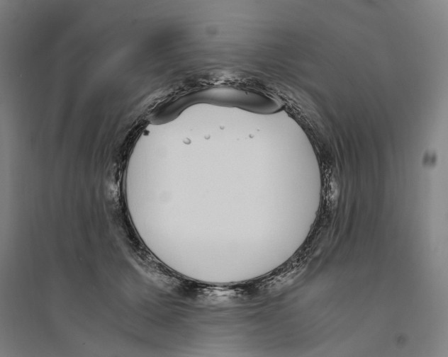 X0000094360607200711301426