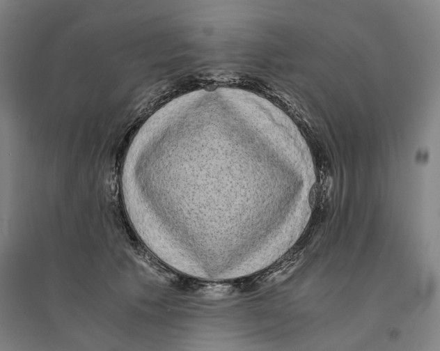 X0000094360609200711301426
