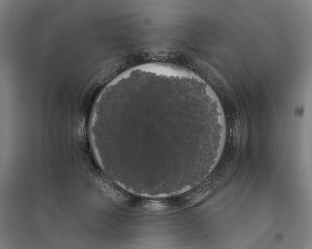 X0000094360610200711301426