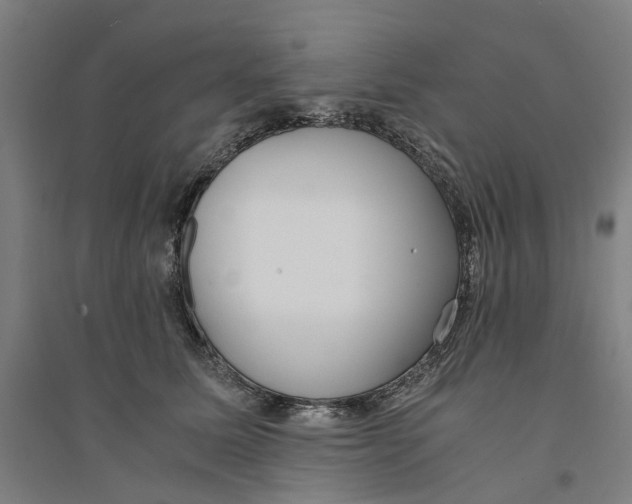X0000094360611200711301426
