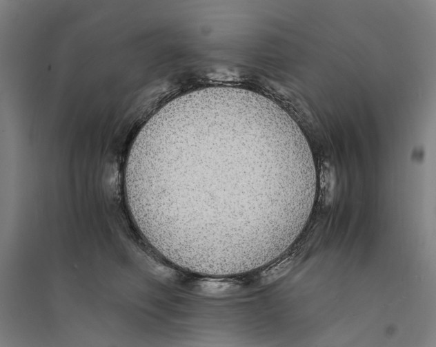 X0000094360614200711301426