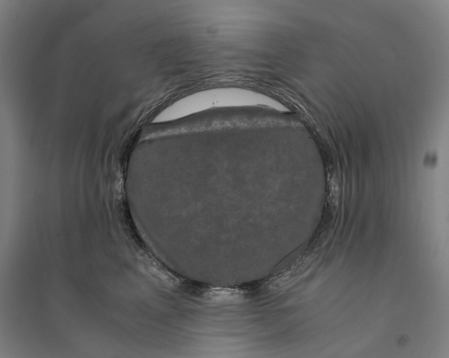X0000094360617200711301426