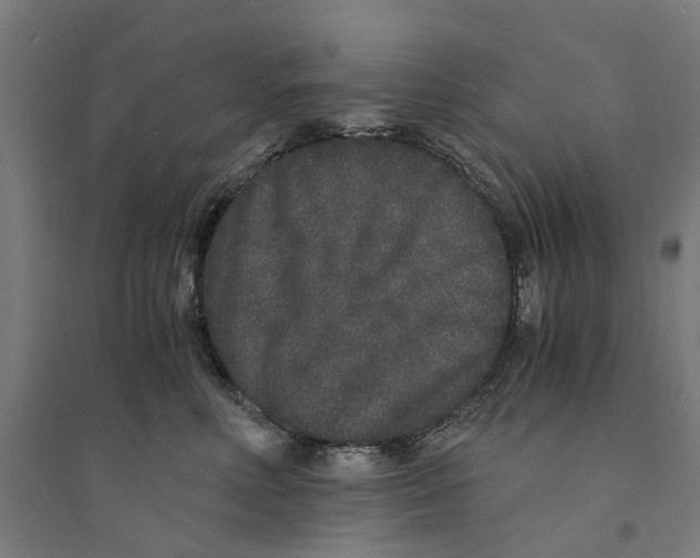 X0000094360618200711301426