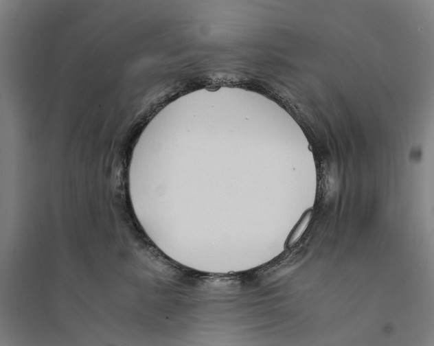 X0000094360619200711301426