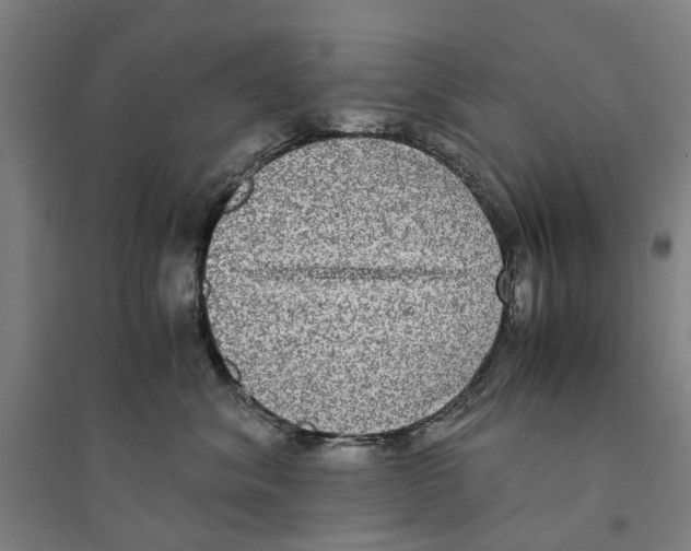 X0000094360620200711301426