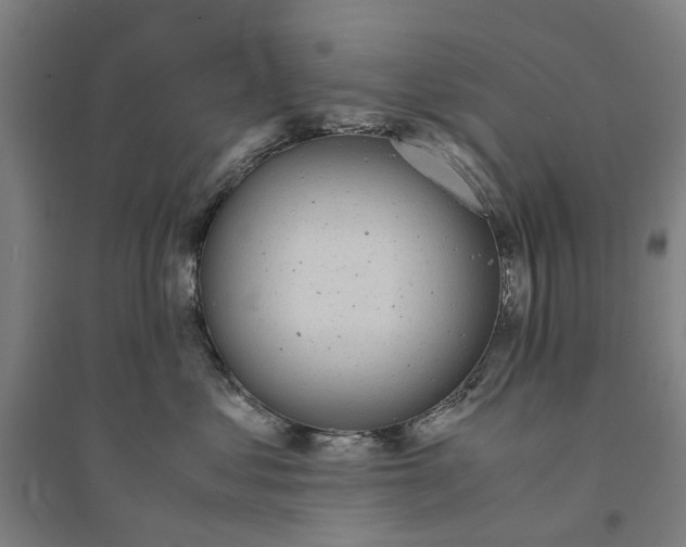 X0000094360621200711301426