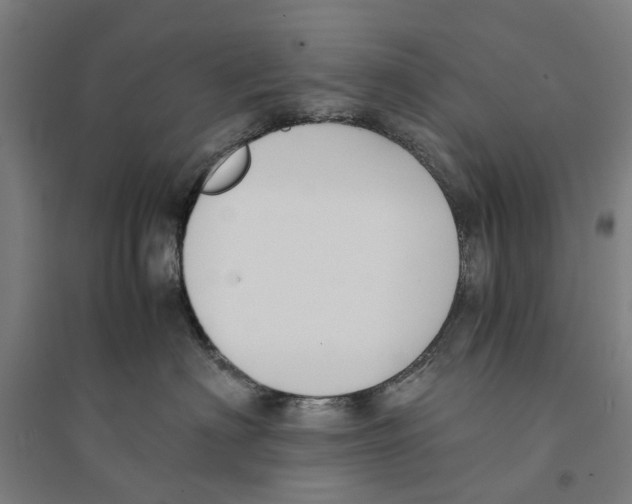 X0000094360622200711301426