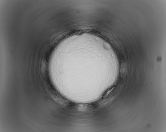 X0000094360623200711301426