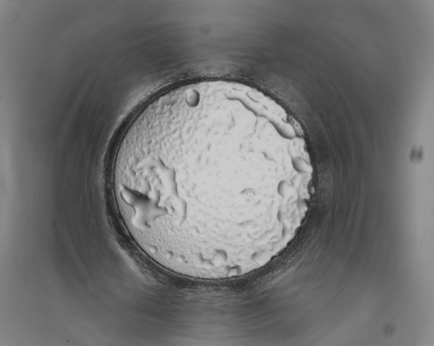 X0000094360626200711301426