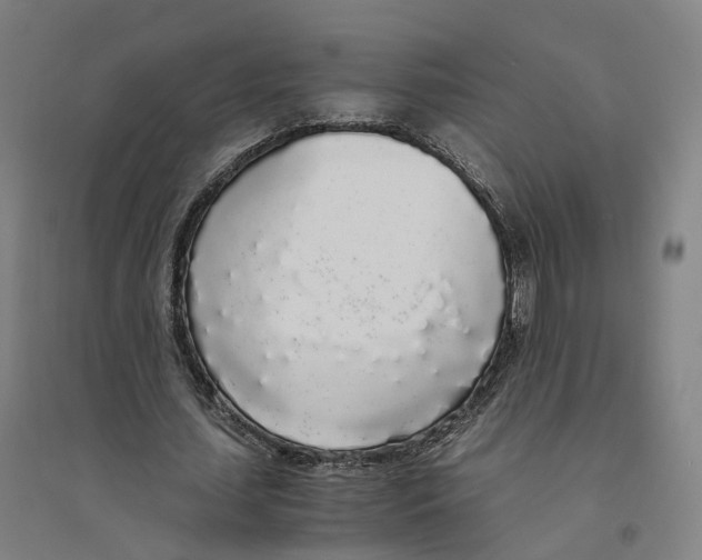 X0000094360627200711301426