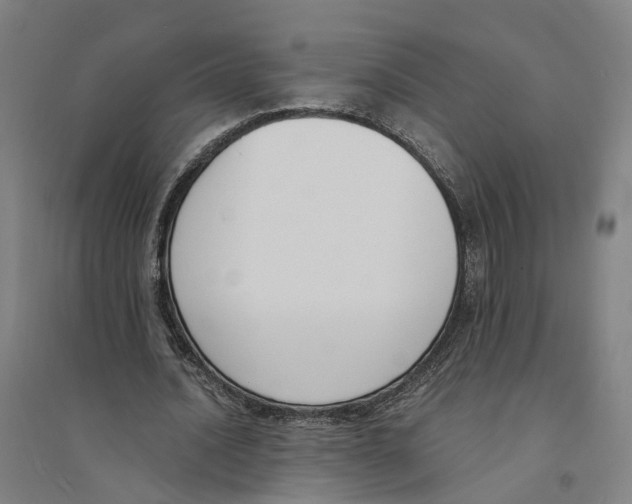 X0000094360628200711301426