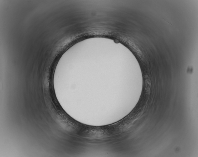 X0000094360631200711301426