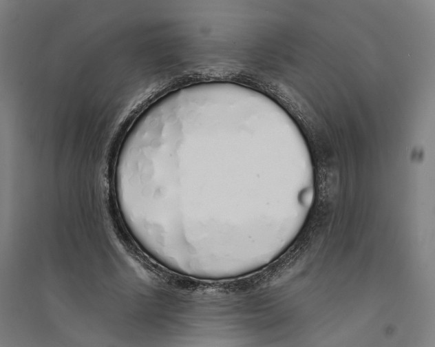 X0000094360634200711301426