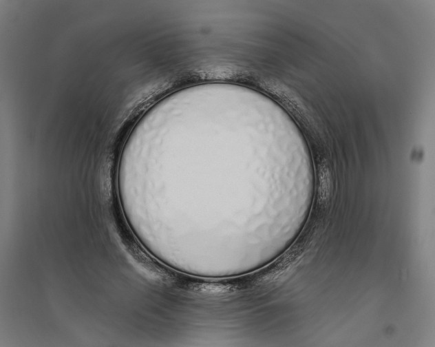 X0000094360638200711301426