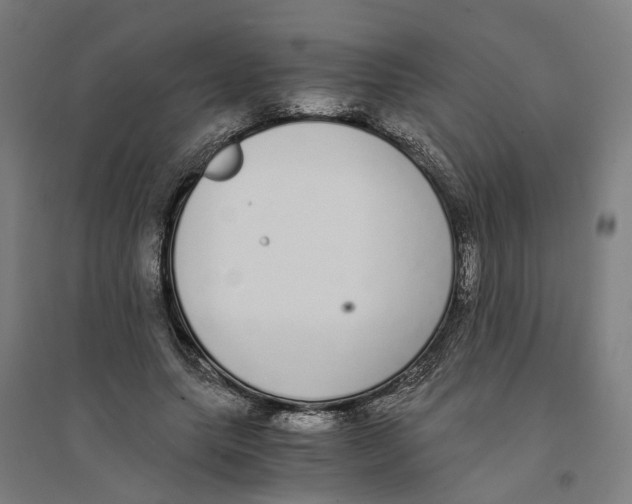 X0000094360639200711301426