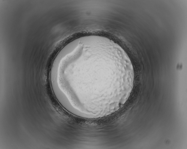 X0000094360640200711301426