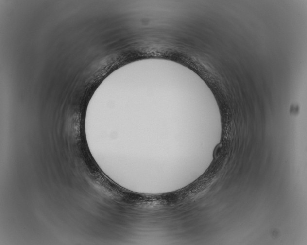 X0000094360646200711301426