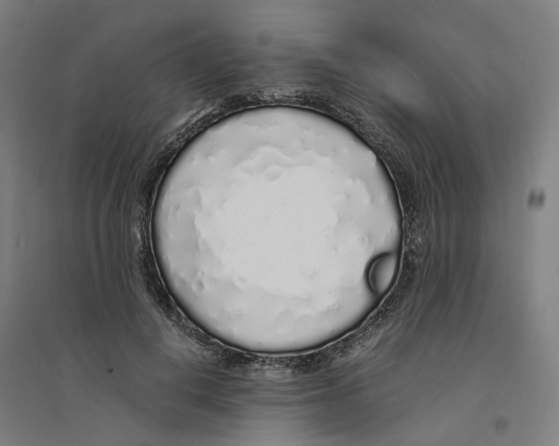X0000094360648200711301426