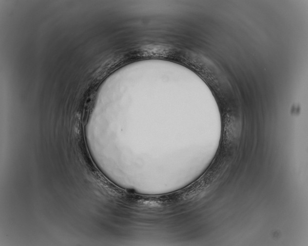 X0000094360649200711301426