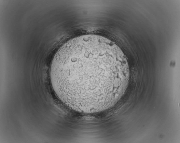 X0000094360650200711301426